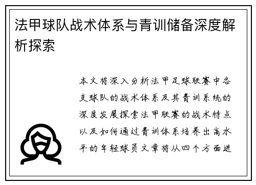 法甲球队战术体系与青训储备深度解析探索