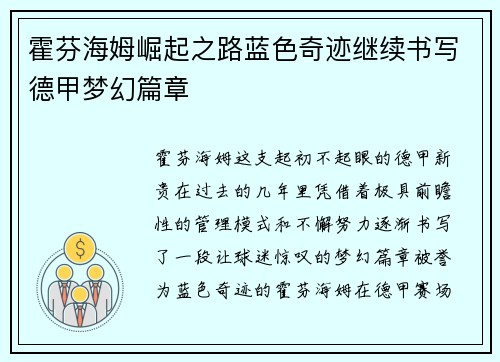 霍芬海姆崛起之路蓝色奇迹继续书写德甲梦幻篇章