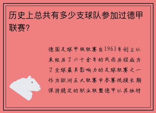 历史上总共有多少支球队参加过德甲联赛？