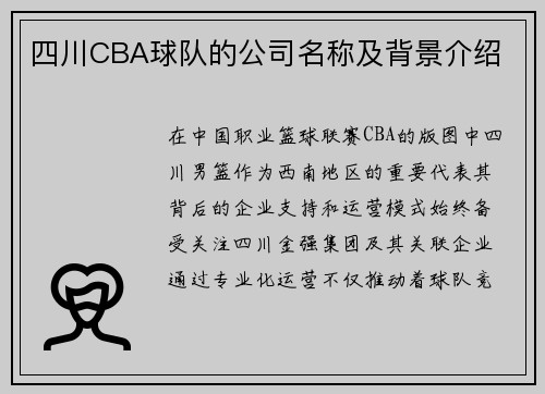 四川CBA球队的公司名称及背景介绍