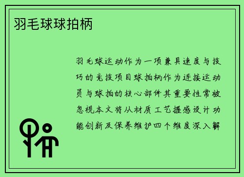 羽毛球球拍柄